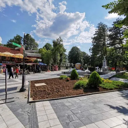 Turist Hotel Soko Banja