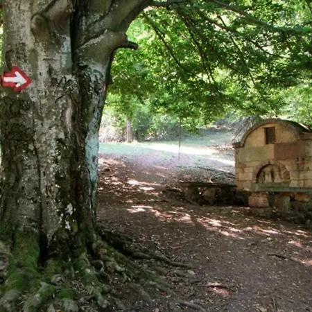 Hotel Turist Soko Banja